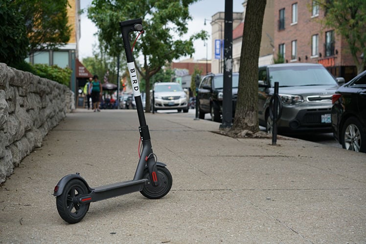 Bird scooter